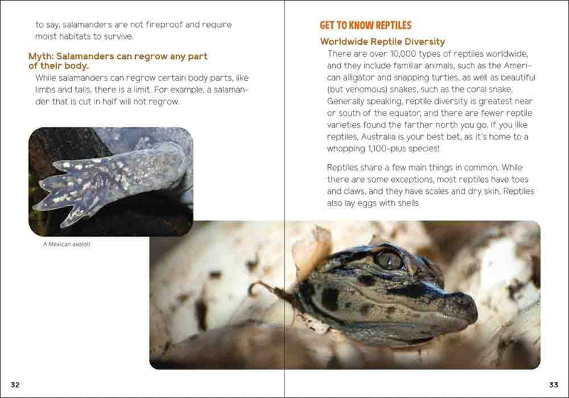 Reptiles & Amphibians for Kids 
sample page