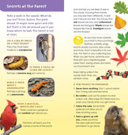 Sample page for Walk in the Woods by Emily Laber-Warren