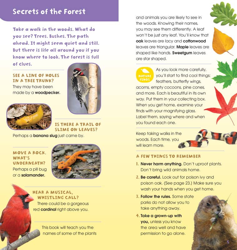 Sample page for Walk in the Woods by Emily Laber-Warren