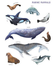 Backpack Explorer Stickers: Ocean Adventure