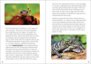 Reptiles & Amphibians for Kids 
sample page