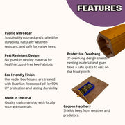 Cabana Bee House
Features