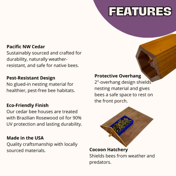 Cabana Bee House
Features