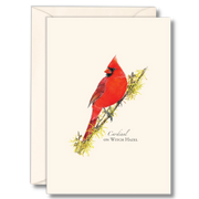 Cardinal On Witch Hazel Notecard Boxed Set of 8