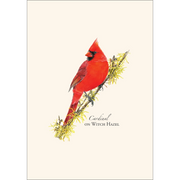 Cardinal On Witch Hazel Notecard Boxed Set of 8