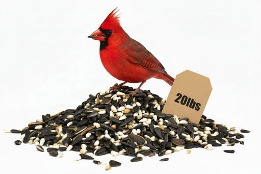 Cardinal Favorite seed mix