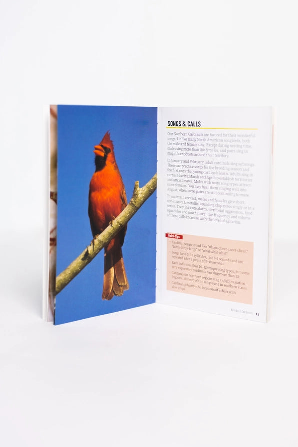 Book open to a page with a red cardinal on a blue background