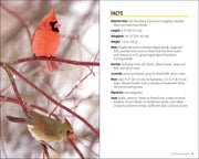 Cardinal birds on branches with side panel of facts