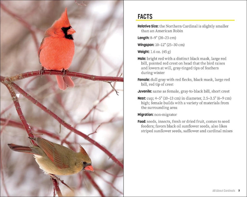 Cardinal birds on branches with side panel of facts