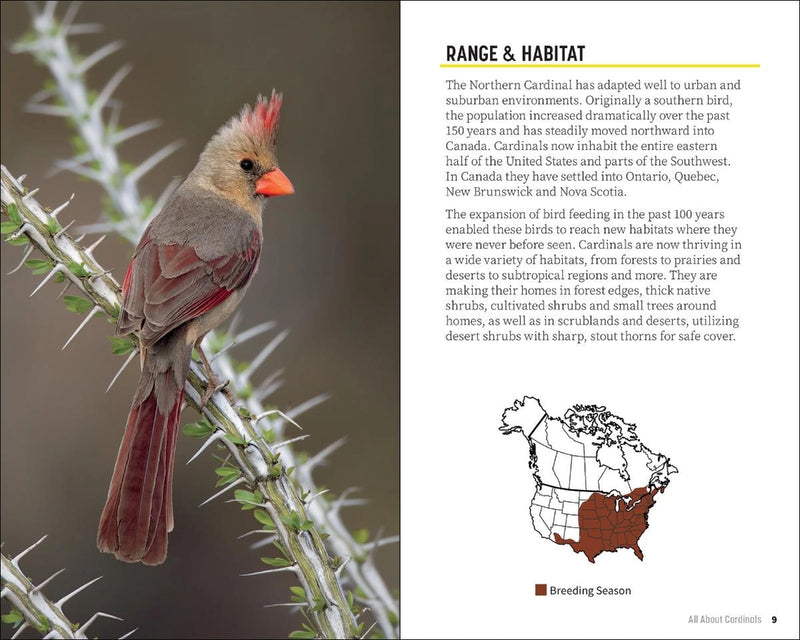Cardinal bird on a branch with habitat information on the right