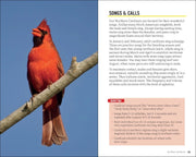 Red cardinal bird on a branch with text about songs and calls of Northern Cardinals.