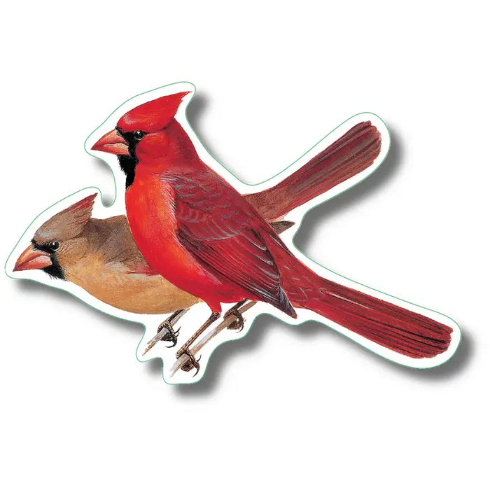 Cardinal Pair Nature Sticker