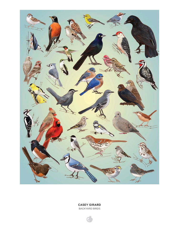 Illustration of various birds on a light blue background.