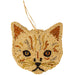 Cat Cookies - Birdseed Ornaments - Tabby