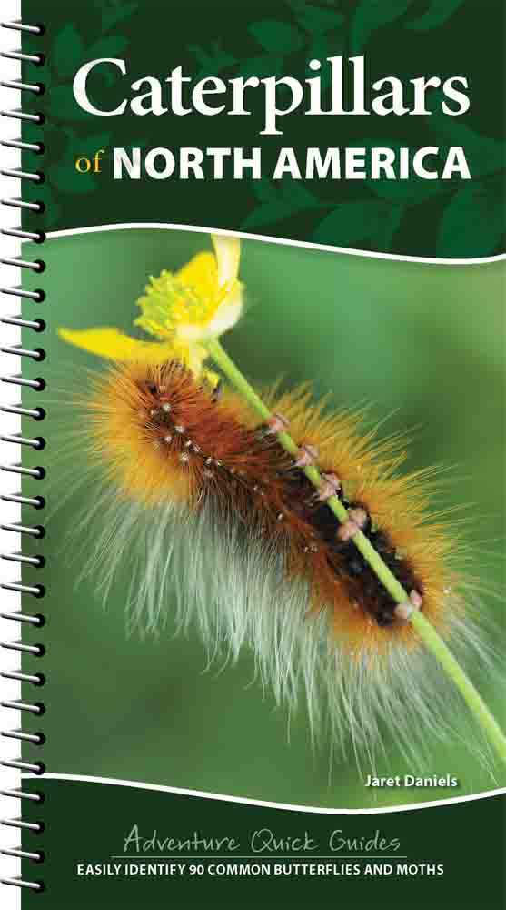 cover of quick guide features very fuzzy caterpillar