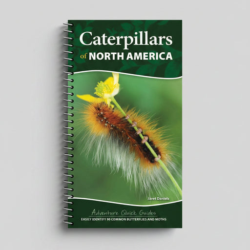 cover of quick guide features very fuzzy caterpillar