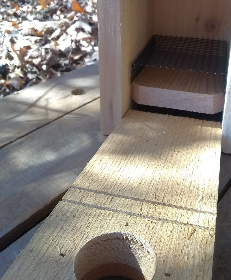 Cedar Bluebird House with Polywood Predator Guard - climbing guides and nest lift