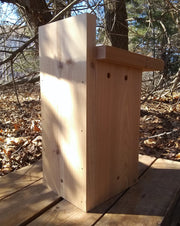 Cedar Bluebird House with Polywood Predator Guard - back
