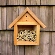 Summer Natural Reeds for Leafcutter Bees 6 mm 
in use with the Chalet Bee House