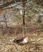Hanging Bird Bath - American Chestnut Leaf Bowl