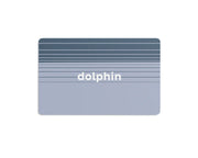 Charley Harper’s I Am Wild Flash Cards - dolphin word