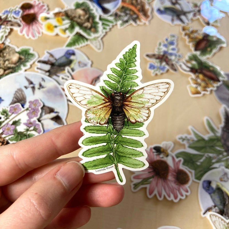 Vinyl Sticker - Cicada On Fern