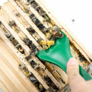 Cocoon Comb
Mason bee cocoon harvest