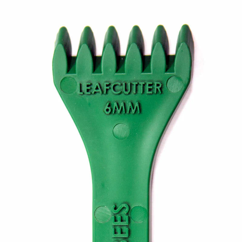 Cocoon Comb
Leafcutter bee 6mm