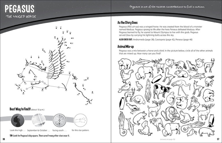 Constellations Activity Book