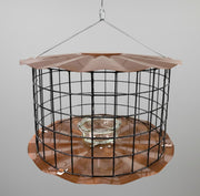 Barrier Guard Specialty Bluebird Feeder - Copper Tint