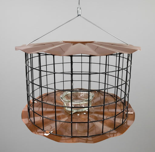 Barrier Guard Specialty Bluebird Feeder - Copper Tint