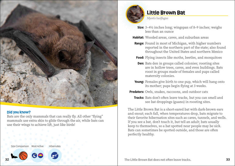 Critters of Michigan Pocket Guide 2nd Ed