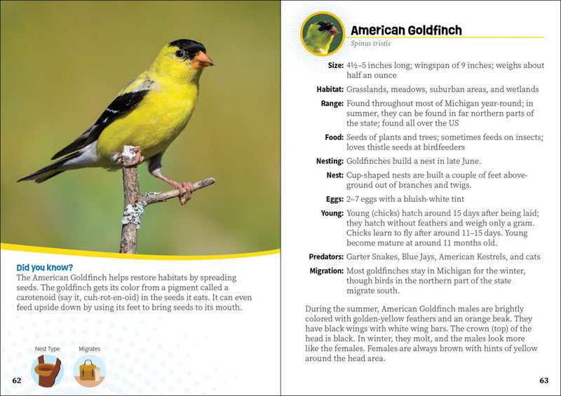 Critters of Michigan Pocket Guide 2nd Ed