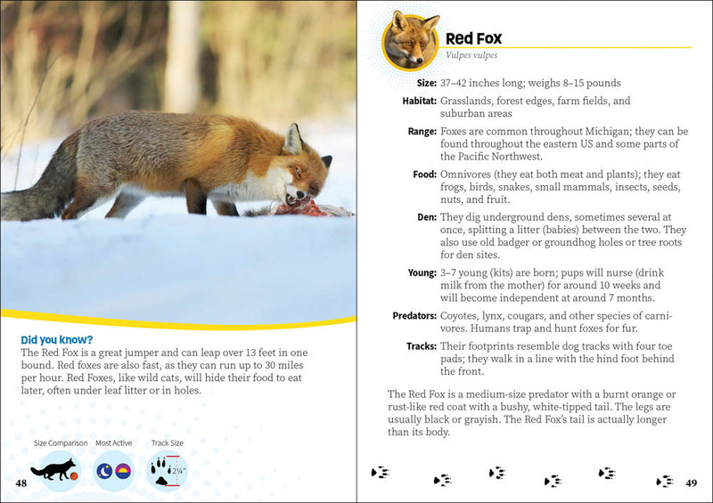 Critters of Michigan Pocket Guide 2nd Ed