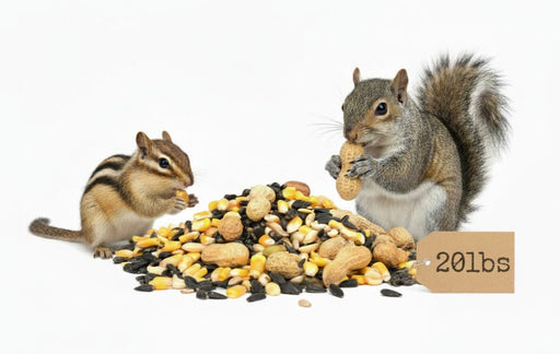 Squirrel and Chipmunk eating pile of Critter Vittles feed