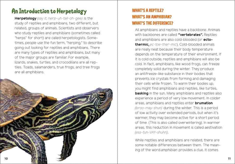 Reptiles & Amphibians for Kids 
sample page