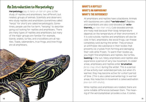 Reptiles & Amphibians for Kids 
sample page