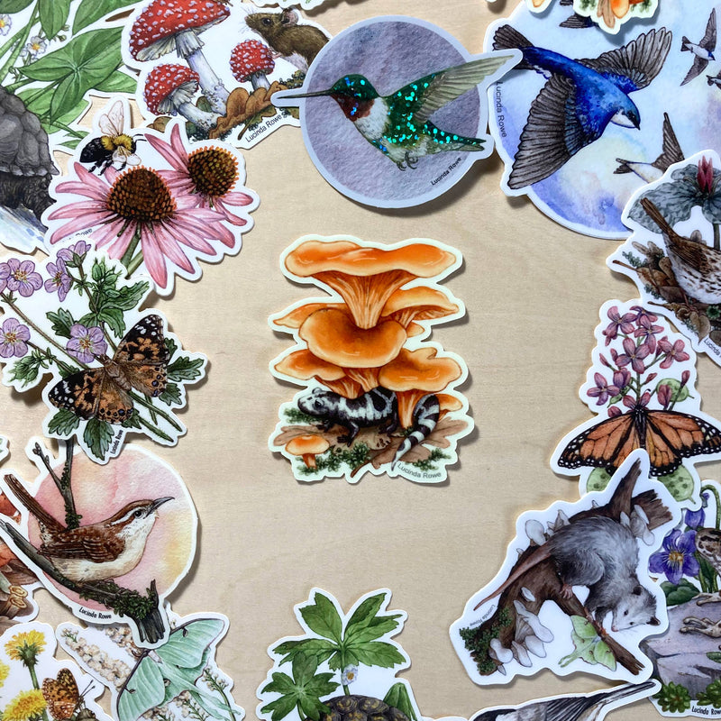 Sticker Glow in the Dark - Marbled Salamander with Fungi