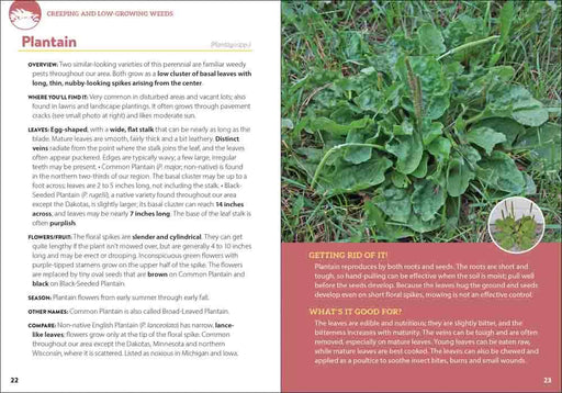 Common Backyard Weeds of the Midwest
sample pages
