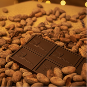 Chocolate Bar - Dark Chocolate with Coffee displayed in a pile of cocoa beans