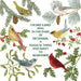 Winter Bird Lover Bundle - Birds December Verse Single Flour Sack Towel