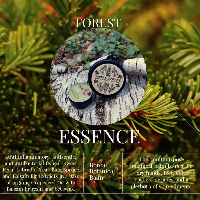 Forest Essence: Boreal Botanical Balm infographic