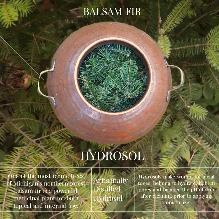 Balsam Fir Hydrosol infographic