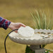 The Heated Rock Bird Bath De-Icer