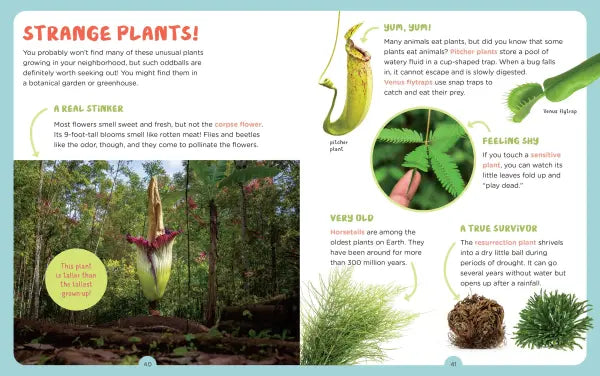 Backpack Explorer: Discovering Plants and Flowers
sample pages