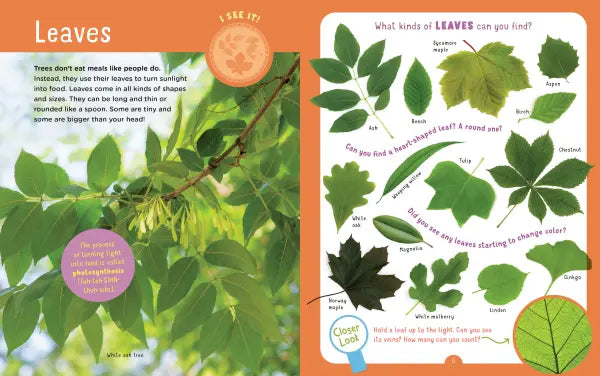 Backpack Explorer: Discovering Trees
sample page