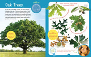Backpack Explorer: Discovering Trees
sample page