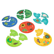 Discovery Puzzle: Life Cycle