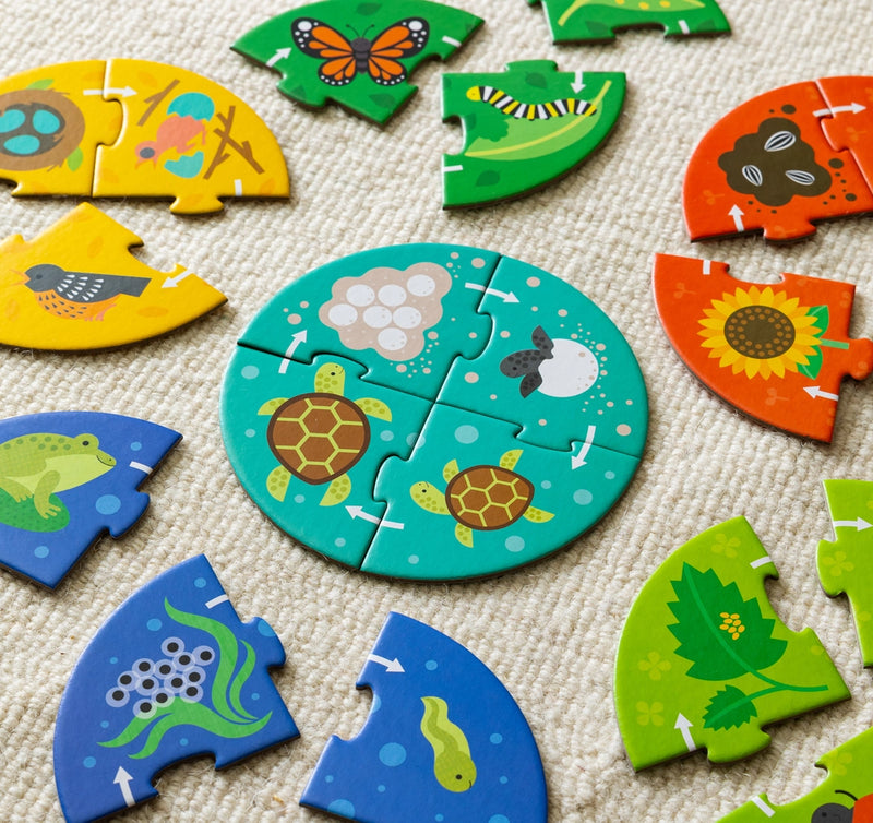 Discovery Puzzle: Life Cycle