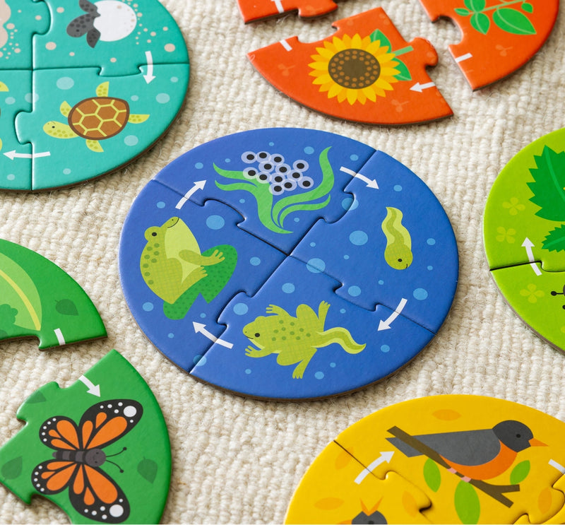 Discovery Puzzle: Life Cycle